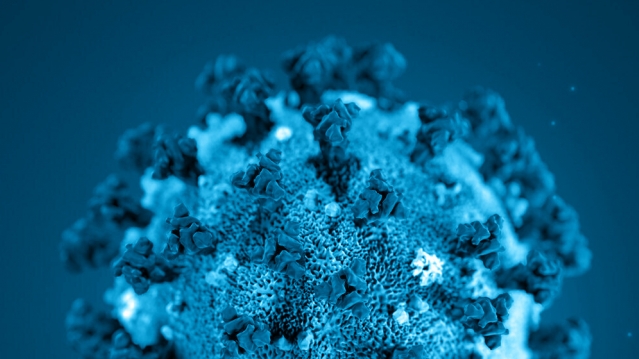 Koronavírus (SARS-CoV-2)