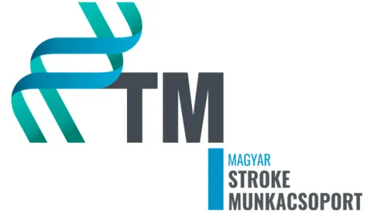 Stroke Munkacsoport 